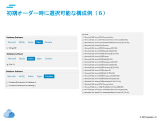 © IBM Corporation 45
text
初期オーダー時に選択可能な構成例（６）
 