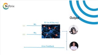 w1
w2
f(1.1w1+0.3w2+ w0)
Output
1.1
0.3
Error Feedback
 