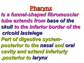 PharynxPharynx
-Is a funnel-shaped fibromusclarIs a funnel-shaped fibromusclar
tube extends fromtube extends from base of thebase of the
skullskull to the inferior border of theto the inferior border of the
cricoid lastelegecricoid lastelege.
--Part of digestive systemPart of digestive system
posterior to theposterior to the nasalnasal andand oraloral
cavity and extend inferiorlycavity and extend inferiorly
posterior toposterior to larynxlarynx..
 