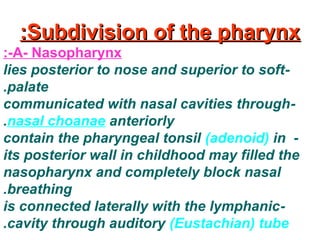 Subdivision of the pharynxSubdivision of the pharynx::
A- Nasopharynx:-
-lies posterior to nose and superior to soft
palate.
-communicated with nasal cavities through
nasal choanae anteriorly.
-contain the pharyngeal tonsil (adenoid) in
its posterior wall in childhood may filled the
nasopharynx and completely block nasal
breathing.
-is connected laterally with the lymphanic
cavity through auditory (Eustachian) tube.
 