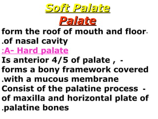 Soft PalateSoft Palate
PalatePalate
-form the roof of mouth and floor
of nasal cavity.
A- Hard palate:
-Is anterior 4/5 of palate ,
forms a bony framework covered
with a mucous membrane.
-Consist of the palatine process
of maxilla and horizontal plate of
palatine bones.
 