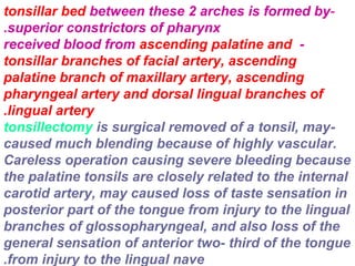 -tonsillar bed between these 2 arches is formed by
superior constrictors of pharynx.
-received blood from ascending palatine and
tonsillar branches of facial artery, ascending
palatine branch of maxillary artery, ascending
pharyngeal artery and dorsal lingual branches of
lingual artery.
-tonsillectomy is surgical removed of a tonsil, may
caused much blending because of highly vascular.
Careless operation causing severe bleeding because
the palatine tonsils are closely related to the internal
carotid artery, may caused loss of taste sensation in
posterior part of the tongue from injury to the lingual
branches of glossopharyngeal, and also loss of the
general sensation of anterior two- third of the tongue
from injury to the lingual nave.
 