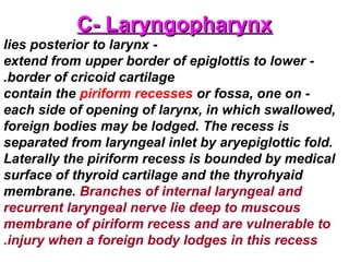C- LaryngopharynxC- Laryngopharynx
-lies posterior to larynx
-extend from upper border of epiglottis to lower
border of cricoid cartilage.
-contain the piriform recesses or fossa, one on
each side of opening of larynx, in which swallowed,
foreign bodies may be lodged. The recess is
separated from laryngeal inlet by aryepiglottic fold.
Laterally the piriform recess is bounded by medical
surface of thyroid cartilage and the thyrohyaid
membrane. Branches of internal laryngeal and
recurrent laryngeal nerve lie deep to muscous
membrane of piriform recess and are vulnerable to
injury when a foreign body lodges in this recess.
 