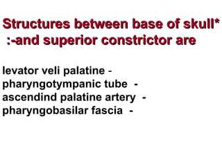**Structures between base of skullStructures between base of skull
and superior constrictor areand superior constrictor are:-:-
-levator veli palatine
-pharyngotympanic tube
-ascendind palatine artery
-pharyngobasilar fascia
 