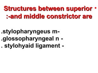 •Structures between superiorStructures between superior
and middle constrictor areand middle constrictor are:-:-
-stylopharyngeus m.
-glossopharyngeal n.
-stylohyaid ligament.
 