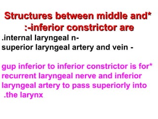 **Structures between middle andStructures between middle and
inferior constrictor areinferior constrictor are:-:-
-internal laryngeal n.
-superior laryngeal artery and vein
*gup inferior to inferior constrictor is for
recurrent laryngeal nerve and inferior
laryngeal artery to pass superiorly into
the larynx.
 