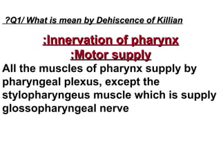 Q1/ What is mean by Dehiscence of KillianQ1/ What is mean by Dehiscence of Killian??
Innervation of pharynxInnervation of pharynx::
Motor supplyMotor supply::
All the muscles of pharynx supply by
pharyngeal plexus, except the
stylopharyngeus muscle which is supply
glossopharyngeal nerve
 