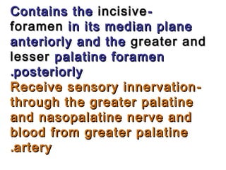 --Contains theContains the incisiveincisive
foramenforamen in its median planein its median plane
anteriorly and theanteriorly and the greater andgreater and
lesserlesser palatine foramenpalatine foramen
posteriorlyposteriorly..
--Receive sensory innervationReceive sensory innervation
through the greater palatinethrough the greater palatine
and nasopalatine nerve andand nasopalatine nerve and
blood from greater palatineblood from greater palatine
arteryartery..
 