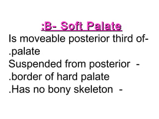 B- Soft PalateB- Soft Palate::
-Is moveable posterior third of
palate.
-Suspended from posterior
border of hard palate.
-Has no bony skeleton.
 
