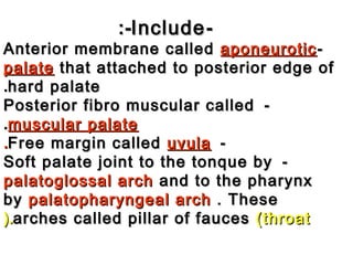 --IncludeInclude:-:-
--Anterior membrane calledAnterior membrane called aponeuroticaponeurotic
palatepalate that attached to posterior edge ofthat attached to posterior edge of
hard palatehard palate..
--Posterior fibro muscular calledPosterior fibro muscular called
muscular palatemuscular palate..
--Free margin calledFree margin called uvulauvula..
--Soft palate joint to the tonque bySoft palate joint to the tonque by
palatoglossal archpalatoglossal arch and to the pharynxand to the pharynx
byby palatopharyngeal archpalatopharyngeal arch . These. These
arches called pillar of faucesarches called pillar of fauces (throat(throat(.(.
 