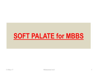 SOFT PALATE for MBBS
13-May-17 Muhammed Asif 1
 