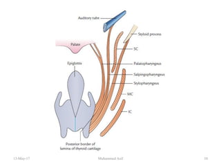 13-May-17 10Muhammed Asif
 