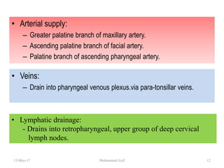 • Arterial supply:
– Greater palatine branch of maxillary artery.
– Ascending palatine branch of facial artery.
– Palatine branch of ascending pharyngeal artery.
• Veins:
– Drain into pharyngeal venous plexus.via para-tonsillar veins.
• Lymphatic drainage:
- Drains into retropharyngeal, upper group of deep cervical
lymph nodes.
13-May-17 12Muhammed Asif
 