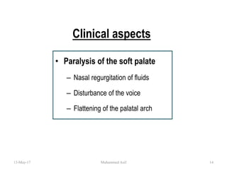 Clinical aspects
• Paralysis of the soft palate
– Nasal regurgitation of fluids
– Disturbance of the voice
– Flattening of the palatal arch
13-May-17 14Muhammed Asif
 