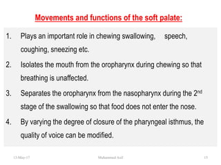 1. Plays an important role in chewing swallowing, speech,
coughing, sneezing etc.
2. Isolates the mouth from the oropharynx during chewing so that
breathing is unaffected.
3. Separates the oropharynx from the nasopharynx during the 2nd
stage of the swallowing so that food does not enter the nose.
4. By varying the degree of closure of the pharyngeal isthmus, the
quality of voice can be modified.
Movements and functions of the soft palate:
13-May-17 15Muhammed Asif
 