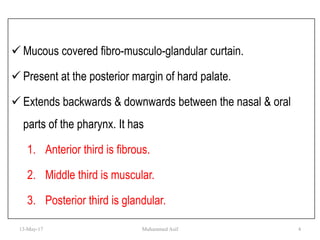  Mucous covered fibro-musculo-glandular curtain.
 Present at the posterior margin of hard palate.
 Extends backwards & downwards between the nasal & oral
parts of the pharynx. It has
1. Anterior third is fibrous.
2. Middle third is muscular.
3. Posterior third is glandular.
13-May-17 4Muhammed Asif
 