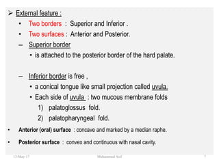  External feature :
• Two borders : Superior and Inferior .
• Two surfaces : Anterior and Posterior.
– Superior border
• is attached to the posterior border of the hard palate.
– Inferior border is free ,
• a conical tongue like small projection called uvula.
• Each side of uvula : two mucous membrane folds
1) palatoglossus fold.
2) palatopharyngeal fold.
• Anterior (oral) surface : concave and marked by a median raphe.
• Posterior surface : convex and continuous with nasal cavity.
13-May-17 7Muhammed Asif
 