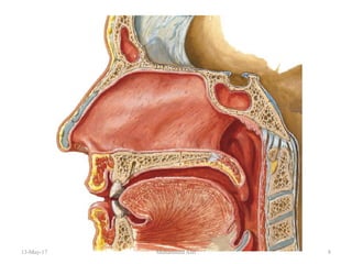 13-May-17 8Muhammed Asif
 