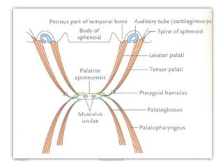 13-May-17 9Muhammed Asif
 