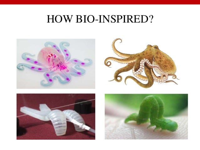 soft robotics ppt
