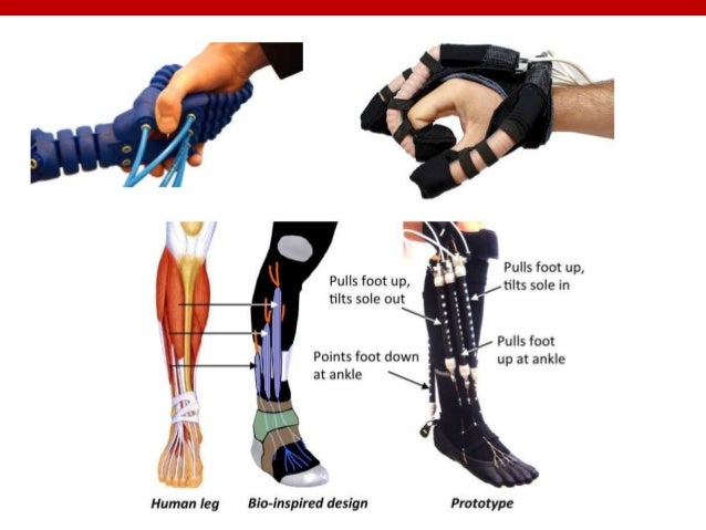 soft robotics ppt