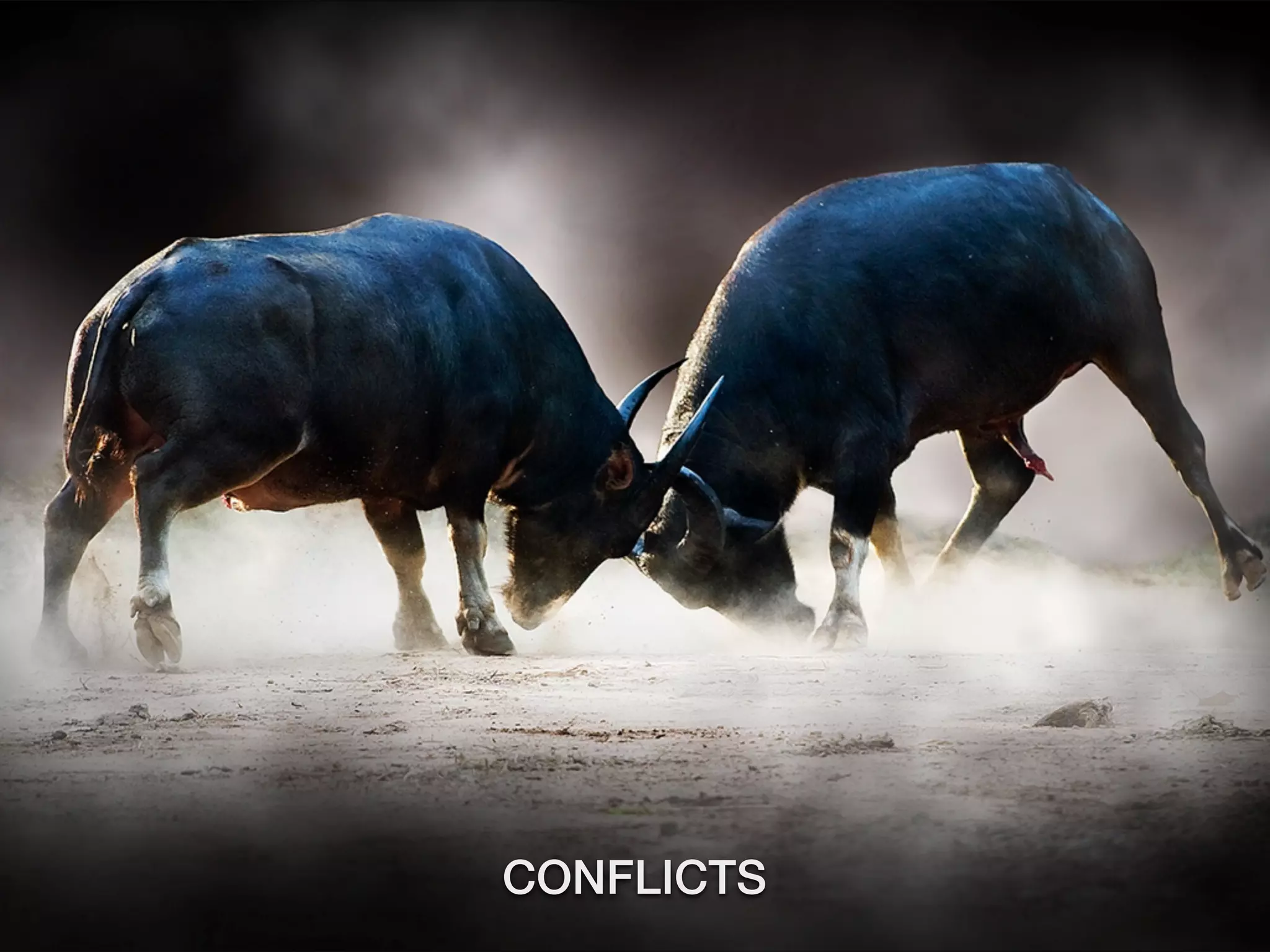CONFLICTS
 