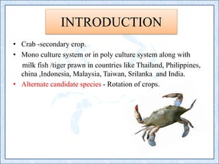 Soft shell producttion | PPTX