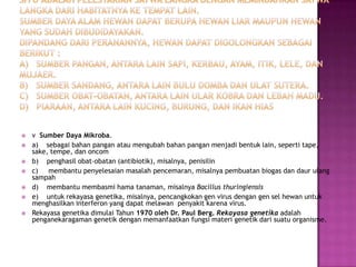    v Sumber Daya Mikroba.
   a) sebagai bahan pangan atau mengubah bahan pangan menjadi bentuk lain, seperti tape,
    sake, tempe, dan oncom
   b) penghasil obat-obatan (antibiotik), misalnya, penisilin
   c) membantu penyelesaian masalah pencemaran, misalnya pembuatan biogas dan daur ulang
    sampah
   d) membantu membasmi hama tanaman, misalnya Bacillus thuringiensis
   e) untuk rekayasa genetika, misalnya, pencangkokan gen virus dengan gen sel hewan untuk
    menghasilkan interferon yang dapat melawan penyakit karena virus.
   Rekayasa genetika dimulai Tahun 1970 oleh Dr. Paul Berg. Rekayasa genetika adalah
    penganekaragaman genetik dengan memanfaatkan fungsi materi genetik dari suatu organisme.
 