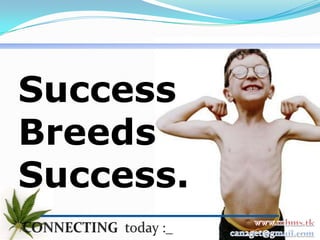 Success
Breeds
Success.
 