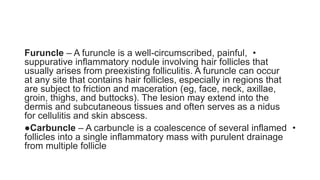 •
Furuncle – A furuncle is a well-circumscribed, painful,
suppurative inflammatory nodule involving hair follicles that
usually arises from preexisting folliculitis. A furuncle can occur
at any site that contains hair follicles, especially in regions that
are subject to friction and maceration (eg, face, neck, axillae,
groin, thighs, and buttocks). The lesion may extend into the
dermis and subcutaneous tissues and often serves as a nidus
for cellulitis and skin abscess.
•
●Carbuncle – A carbuncle is a coalescence of several inflamed
follicles into a single inflammatory mass with purulent drainage
from multiple follicle
 
