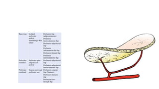 Types of perforator flaps
 