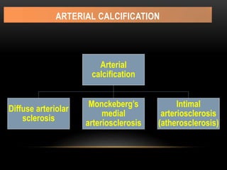 ARTERIAL CALCIFICATION
Arterial
calcification
Diffuse arteriolar
sclerosis
Monckeberg’s
medial
arteriosclerosis
Intimal
arteriosclerosis
(atherosclerosis)
 