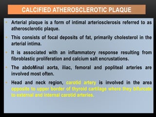 CALCIFIED ATHEROSCLEROTIC PLAQUE
• Arterial plaque is a form of intimal arteriosclerosis referred to as
atherosclerotic plaque.
• This consists of focal deposits of fat, primarily cholesterol in the
arterial intima.
• It is associated with an inflammatory response resulting from
fibroblastic proliferation and calcium salt encrustations.
• The abdoMinal aorta, iliac, femoral and popliteal arteries are
involved most often.
• Head and neck region, carotid artery is involved in the area
opposite to upper border of thyroid cartilage where they bifurcate
to external and internal carotid arteries.
 