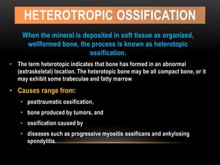 HETEROTROPIC OSSIFICATION
When the mineral is deposited in soft tissue as organized,
wellformed bone, the process is known as heterotopic
ossification.
• The term heterotopic indicates that bone has formed in an abnormal
(extraskeletal) location. The heterotopic bone may be all compact bone, or it
may exhibit some trabeculae and fatty marrow.
• Causes range from:
• posttraumatic ossification,
• bone produced by tumors, and
• ossification caused by
• diseases such as progressive myositis ossificans and ankylosing
spondylitis.
 