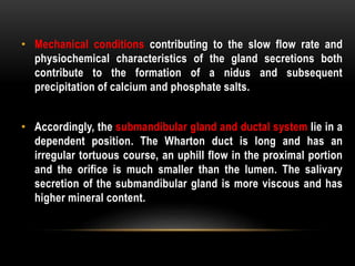 • Mechanical conditions contributing to the slow flow rate and
physiochemical characteristics of the gland secretions both
contribute to the formation of a nidus and subsequent
precipitation of calcium and phosphate salts.
• Accordingly, the submandibular gland and ductal system lie in a
dependent position. The Wharton duct is long and has an
irregular tortuous course, an uphill flow in the proximal portion
and the orifice is much smaller than the lumen. The salivary
secretion of the submandibular gland is more viscous and has
higher mineral content.
 