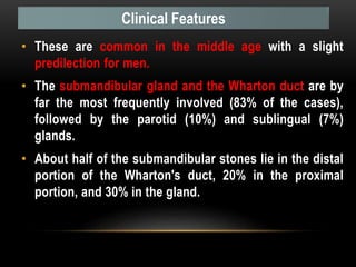 • These are common in the middle age with a slight
predilection for men.
• The submandibular gland and the Wharton duct are by
far the most frequently involved (83% of the cases),
followed by the parotid (10%) and sublingual (7%)
glands.
• About half of the submandibular stones lie in the distal
portion of the Wharton's duct, 20% in the proximal
portion, and 30% in the gland.
Clinical Features
 