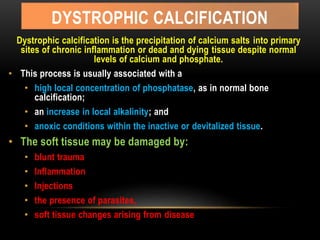DYSTROPHIC CALCIFICATION
Dystrophic calcification is the precipitation of calcium salts into primary
sites of chronic inflammation or dead and dying tissue despite normal
levels of calcium and phosphate.
• This process is usually associated with a
• high local concentration of phosphatase, as in normal bone
calcification;
• an increase in local alkalinity; and
• anoxic conditions within the inactive or devitalized tissue.
• The soft tissue may be damaged by:
• blunt trauma
• Inflammation
• Injections
• the presence of parasites,
• soft tissue changes arising from disease
 