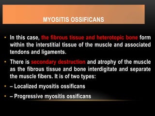 MYOSITIS OSSIFICANS
• In this case, the fibrous tissue and heterotopic bone form
within the interstitial tissue of the muscle and associated
tendons and ligaments.
• There is secondary destruction and atrophy of the muscle
as the fibrous tissue and bone interdigitate and separate
the muscle fibers. It is of two types:
• – Localized myositis ossificans
• – Progressive myositis ossificans
 
