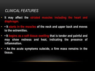 CLINICAL FEATURES
• It may affect the striated muscles including the heart and
diaphragm.
• • It starts in the muscles of the neck and upper back and moves
to the extremities.
• • It begins as a soft tissue swelling that is tender and painful and
may show redness and heat, indicating the presence of
inflammation.
• • As the acute symptoms subside, a firm mass remains in the
tissue.
 