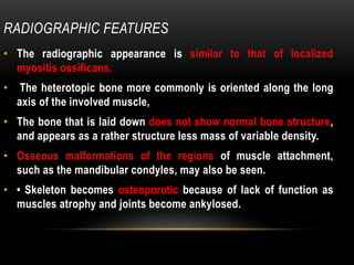 RADIOGRAPHIC FEATURES
• The radiographic appearance is similar to that of localized
myositis ossificans.
• The heterotopic bone more commonly is oriented along the long
axis of the involved muscle,
• The bone that is laid down does not show normal bone structure,
and appears as a rather structure less mass of variable density.
• Osseous malformations of the regions of muscle attachment,
such as the mandibular condyles, may also be seen.
• • Skeleton becomes osteoporotic because of lack of function as
muscles atrophy and joints become ankylosed.
 