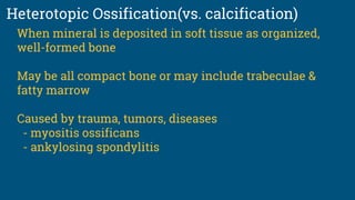 Heterotopic Ossification(vs. calcification)
When mineral is deposited in soft tissue as organized,
well-formed bone
May be all compact bone or may include trabeculae &
fatty marrow
Caused by trauma, tumors, diseases
- myositis ossificans
- ankylosing spondylitis
 