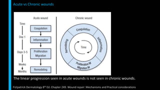 The linear progression seen in acute wounds is not seen in chronic wounds.
Fiztpatrick Dermatology 8th Ed. Chapter 249. Wound repair: Mechanisms and Practical considerations
Acute vs Chronic wounds
 