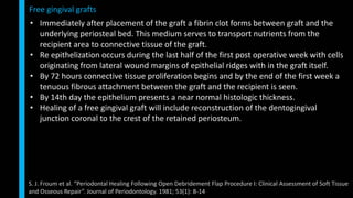 • Immediately after placement of the graft a fibrin clot forms between graft and the
underlying periosteal bed. This medium serves to transport nutrients from the
recipient area to connective tissue of the graft.
• Re epithelization occurs during the last half of the first post operative week with cells
originating from lateral wound margins of epithelial ridges with in the graft itself.
• By 72 hours connective tissue proliferation begins and by the end of the first week a
tenuous fibrous attachment between the graft and the recipient is seen.
• By 14th day the epithelium presents a near normal histologic thickness.
• Healing of a free gingival graft will include reconstruction of the dentogingival
junction coronal to the crest of the retained periosteum.
Free gingival grafts
S. J. Froum et al. “Periodontal Healing Following Open Debridement Flap Procedure I: Clinical Assessment of Soft Tissue
and Osseous Repair”. Journal of Periodontology. 1981; 53(1): 8-14
 