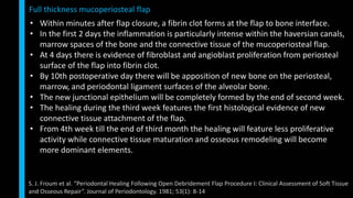 • Within minutes after flap closure, a fibrin clot forms at the flap to bone interface.
• In the first 2 days the inflammation is particularly intense within the haversian canals,
marrow spaces of the bone and the connective tissue of the mucoperiosteal flap.
• At 4 days there is evidence of fibroblast and angioblast proliferation from periosteal
surface of the flap into fibrin clot.
• By 10th postoperative day there will be apposition of new bone on the periosteal,
marrow, and periodontal ligament surfaces of the alveolar bone.
• The new junctional epithelium will be completely formed by the end of second week.
• The healing during the third week features the first histological evidence of new
connective tissue attachment of the flap.
• From 4th week till the end of third month the healing will feature less proliferative
activity while connective tissue maturation and osseous remodeling will become
more dominant elements.
Full thickness mucoperiosteal flap
S. J. Froum et al. “Periodontal Healing Following Open Debridement Flap Procedure I: Clinical Assessment of Soft Tissue
and Osseous Repair”. Journal of Periodontology. 1981; 53(1): 8-14
 