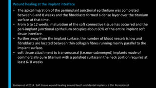 • The apical migration of the periimplant junctional epithelium was completed
between 6 and 8 weeks and the fibroblasts formed a dense layer over the titanium
surface at that time.
• From 6 to 12 weeks, maturation of the soft connective tissue has occurred and the
peri-implant junctional epithelium occupies about 60% of the entire implant soft
tissue interface.
• Further away from the implant surface, the number of blood vessels is low and
fibroblasts are located between thin collagen fibres running mainly parallel to the
implant surface.
• soft tissue attachment to transmucosal (i.e.non-submerged) implants made of
commercially pure titanium with a polished surface in the neck portion requires at
least 6- 8 weeks
Wound healing at the implant interface
Sculaen et al 2014. Soft tissue wound healing around teeth and dental implants. J Clin Periodontol
 