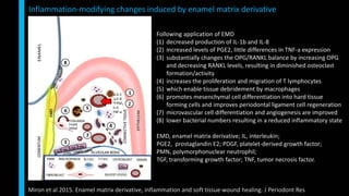 Following application of EMD
(1) decreased production of IL-1b and IL-8
(2) increased levels of PGE2, little differences in TNF-a expression
(3) substantially changes the OPG/RANKL balance by increasing OPG
and decreasing RANKL levels, resulting in diminished osteoclast
formation/activity
(4) increases the proliferation and migration of T lymphocytes
(5) which enable tissue debridement by macrophages
(6) promotes mesenchymal cell differentiation into hard tissue
forming cells and improves periodontal ligament cell regeneration
(7) microvascular cell differentiation and angiogenesis are improved
(8) lower bacterial numbers resulting in a reduced inflammatory state
EMD, enamel matrix derivative; IL, interleukin;
PGE2, prostaglandin E2; PDGF, platelet-derived growth factor;
PMN, polymorphonuclear neutrophil;
TGF, transforming growth factor; TNF, tumor necrosis factor.
Inflammation-modifying changes induced by enamel matrix derivative
Miron et al 2015. Enamel matrix derivative, inflammation and soft tissue wound healing. J Periodont Res
 