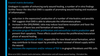 Emdogain is capable of enhancing early wound healing, a number of in vitro findings
further favour the idea that EMD is capable of promoting wound healing and resolution
of inflammation:
1. reduction in the expression/ production of a number of interleukins and possibly
TNF suggests that EMD is able to attenuate the inflammatory phase.
2. increase in the OPG/RANKL ratio may reduce local bone resorption and favor the
resolution of bone loss and formation of new bone.
3. stimulate gingival fibroblast proliferation and extracellular matrix production and
prevent their apoptosis. These effects could enhance the proliferative/maturation
phase of wound healing.
4. increase in expression of VEGF, responsible for new blood vessel formation, which
may contribute to tissue repair by providing faster renewal of blood supply within
the wound.
5. increases the expression and/or release of TGF-b in gingival fibroblasts and PDL cells
Enamel matrix derivative
Miron et al 2015. Enamel matrix derivative, inflammation and soft tissue wound healing. J Periodont Res
 