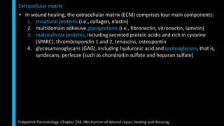 • In wound healing, the extracellular matrix (ECM) comprises four main components:
1. structural proteins (i.e., collagen, elastin)
2. multidomain adhesive glycoproteins (i.e., fibronectin, vitronectin, laminin)
3. matricellular proteins, including secreted protein acidic and rich in cysteine
(SPARC), thrombospondin 1 and 2, tenascins, osteopontin
4. glycosaminoglycans (GAG), including hyaluronic acid and proteoglycans, that is,
syndecans, perlecan (such as chondroitin sulfate and heparan sulfate)
Extracellular matrix
Fiztpatrick Dermatology. Chapter 248. Mechanism of Wound repair, healing and dressing.
 