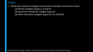 • Three main classes of collagens are present normally in connective tissue:
(1) fibrillar collagens (types I, III and V)
(2) basement membrane collagen (type IV)
(3) other interstitial collagens (types VI, VII, and VIII)
Collagen
Fiztpatrick Dermatology. Chapter 248. Mechanism of Wound repair, healing and dressing.
 