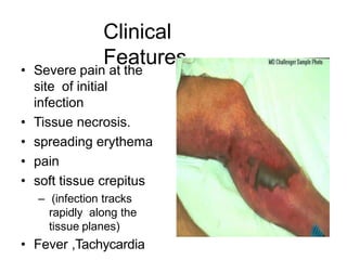 Clinical
Features
• Severe pain at the
site of initial
infection
• Tissue necrosis.
• spreading erythema
• pain
• soft tissue crepitus
– (infection tracks
rapidly along the
tissue planes)
• Fever ,Tachycardia
 
